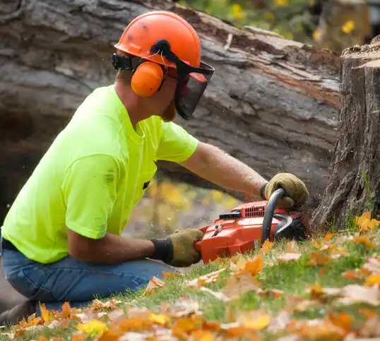 tree services Lancaster